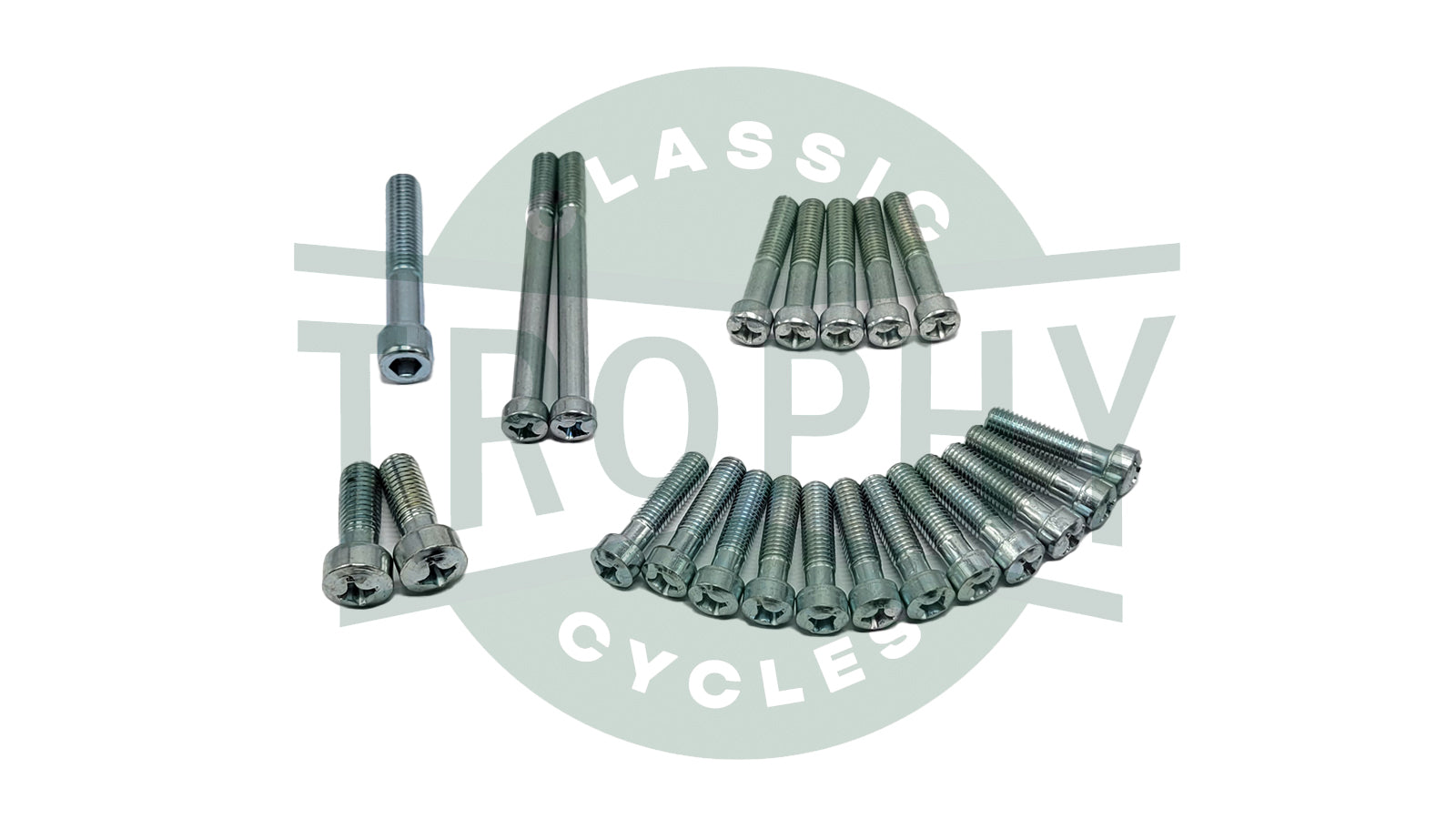 00-0082 - Triumph T120 TR6 650 Engine Cover Screw Set 1963-68 BSF Posi Drive