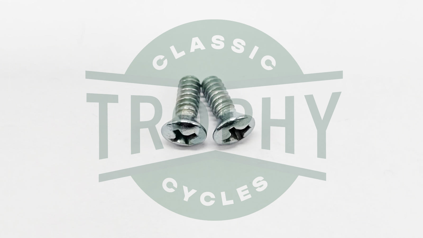 21-2196 - Triumph 750 T140 TR7 T150 T160 Disc Brake Caliper Cover Screws (2)