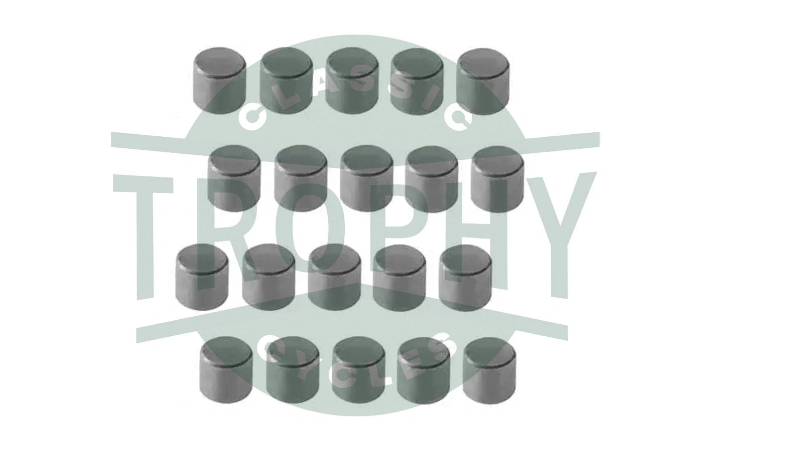 57-0394 - Triumph BSA 1/4" Clutch Hub Center Roller Bearings Rollers (20) T394 42-3206