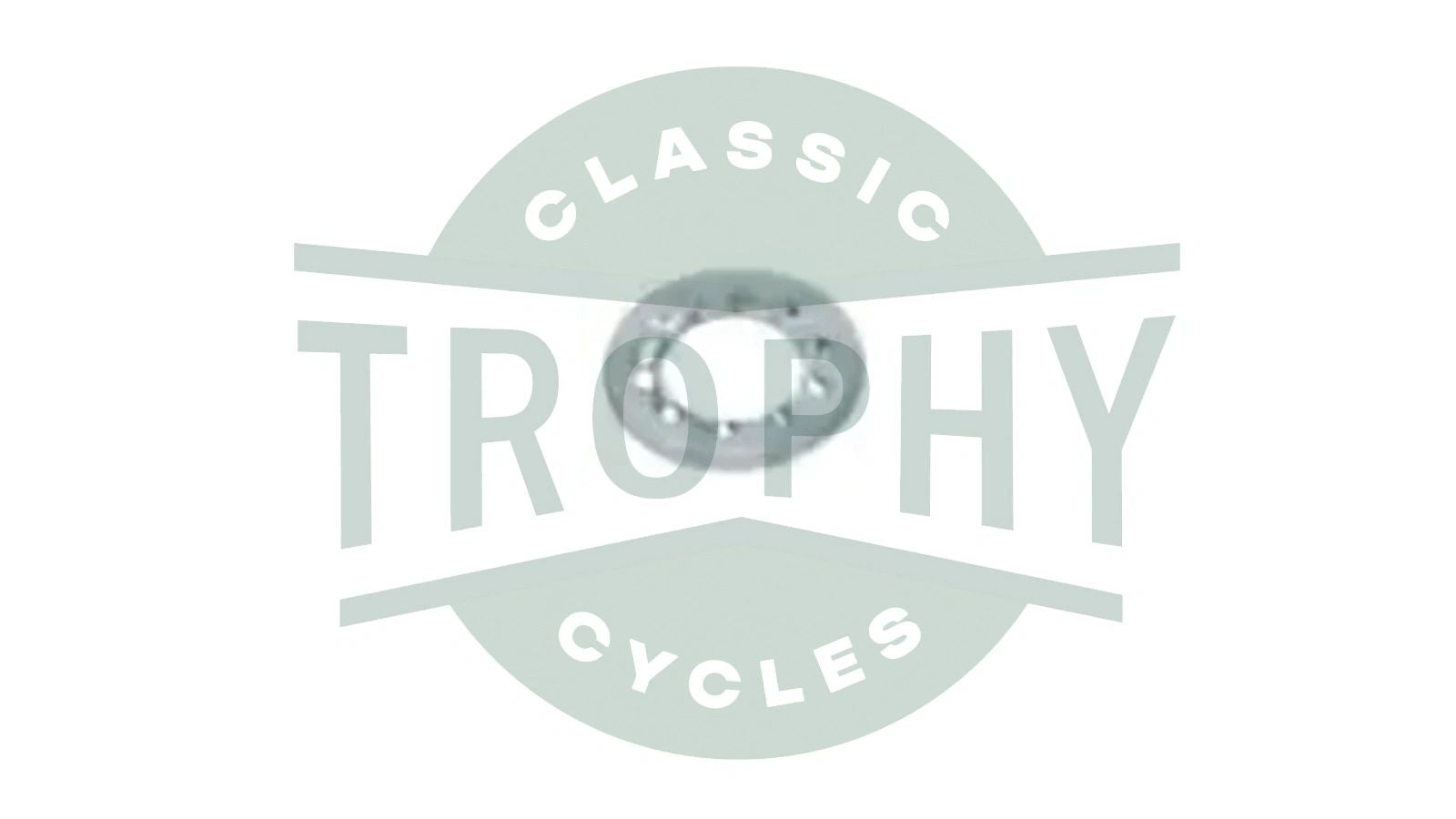 70-1612 - Triumph 1/4" Serrated Lock Washer (1) E1612