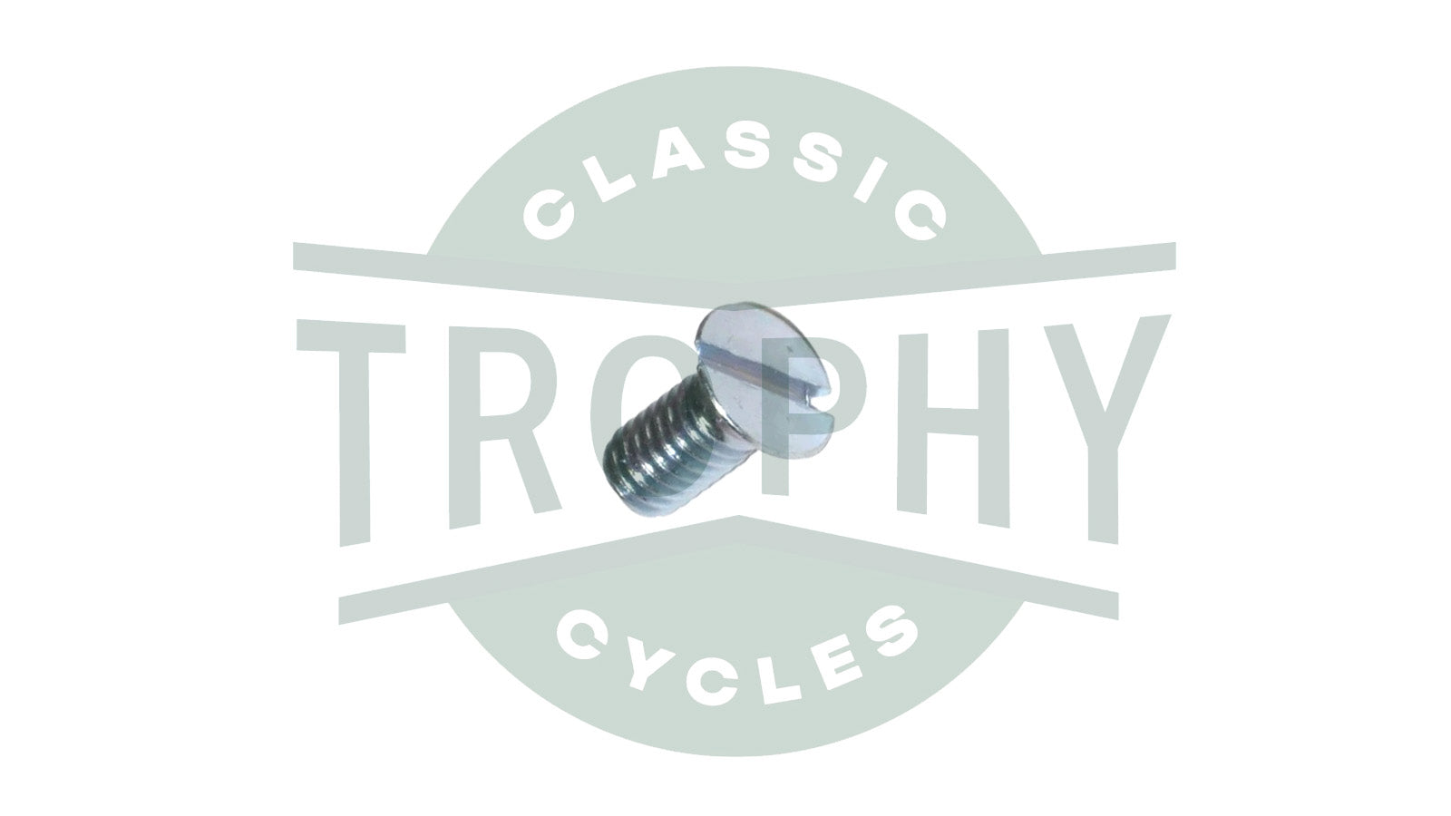 70-3821 - Triumph BSA 250 350 500 650 750 Inner Primary Sprocket Door Screw (1) E3821 40-0246