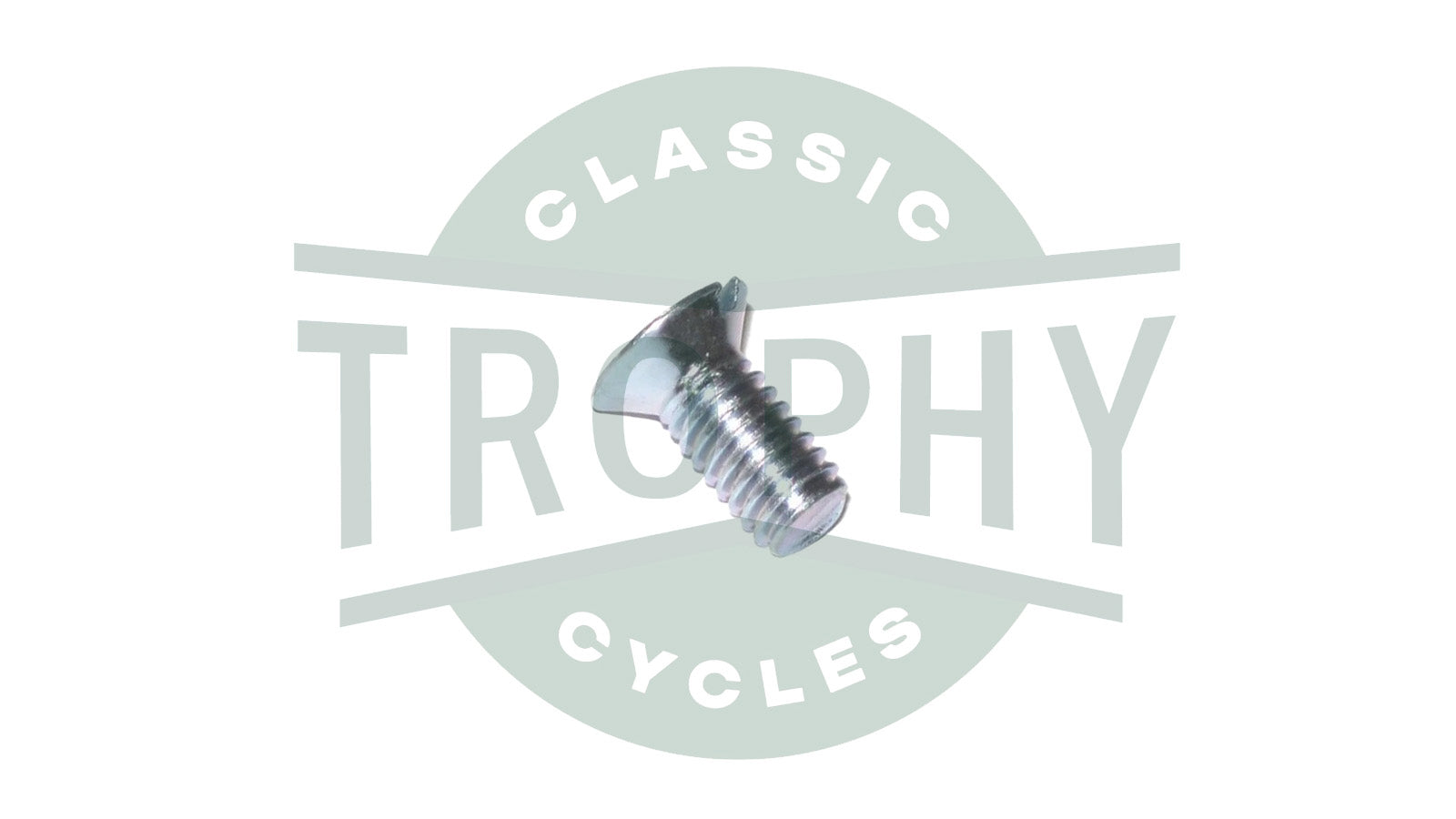 70-3821 - Triumph BSA 250 350 500 650 750 Inner Primary Sprocket Door Screw (1) E3821 40-0246