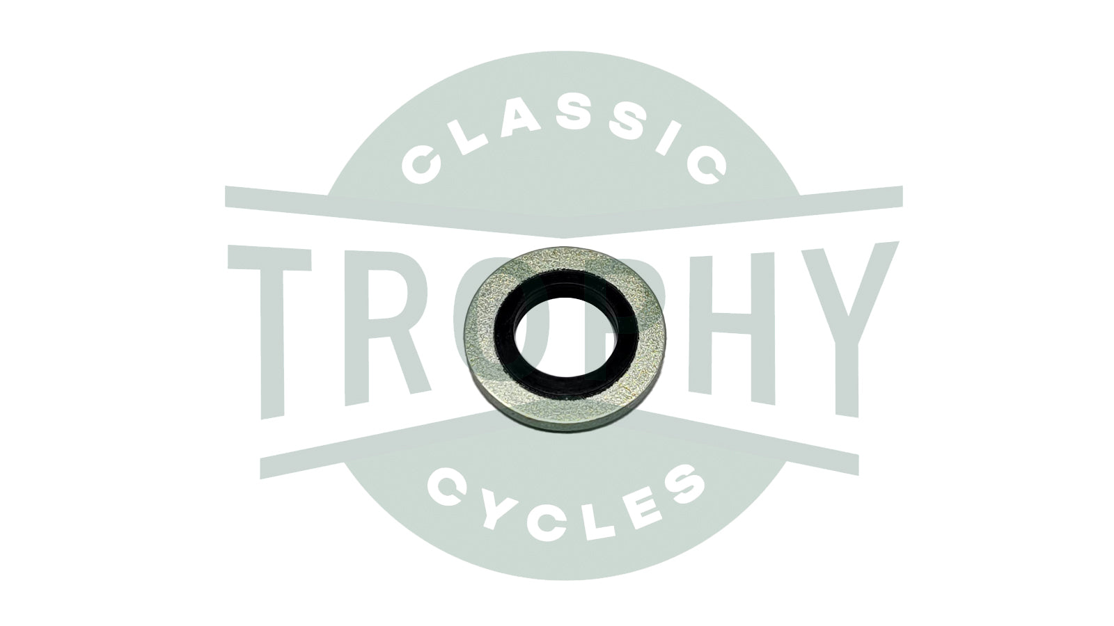 71-1065 - BSA 1/4" Primary Oil Level Plug Stato Seal Dowty Washer E11065