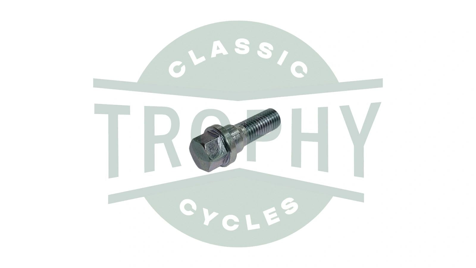 97-2126 - Triumph BSA 250 500 650 750 Fork Lower Restrictor Bolt (1) H2126